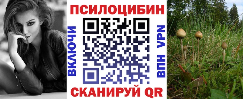 Псилоцибиновые грибы Psilocybe  площадка формула  Первоуральск 